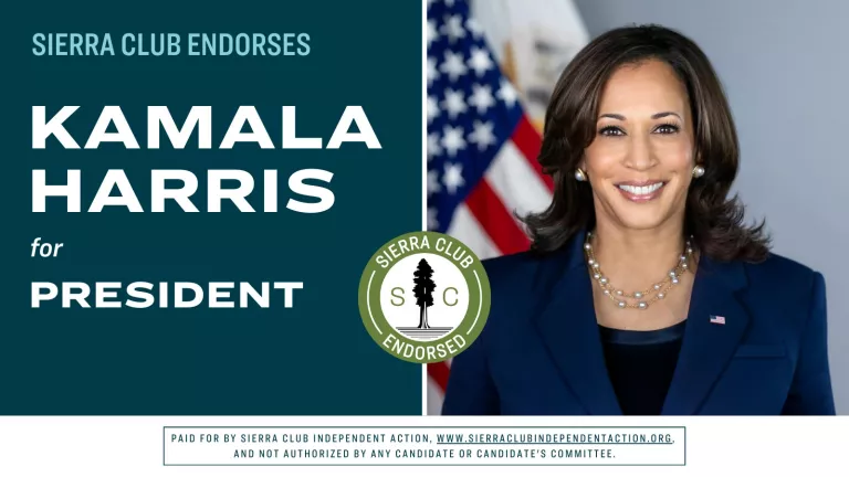 Blue and white flyer promoting Kamala Harris for President, picture of Kamala Harris smiling in a blue suit, Sierra Club endorsement