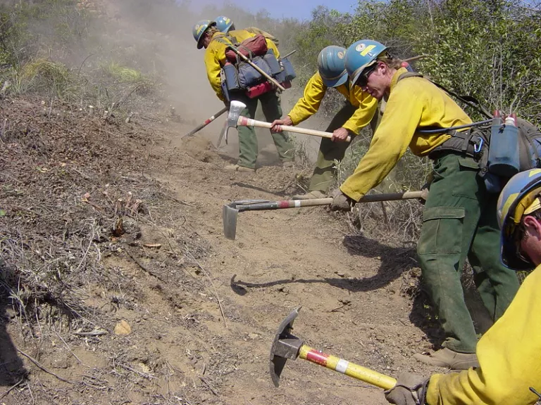 Firefighters, California Interagency Hotshots Steering Committee