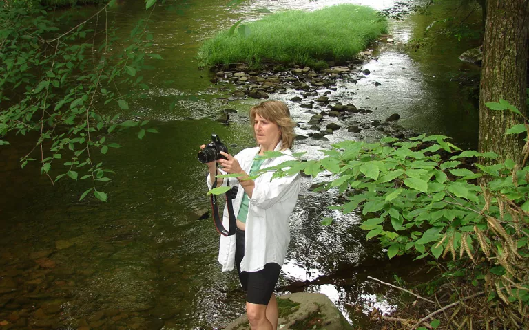 Maya Von Rossum takes a picture at the edge of a stream under the shade of trees