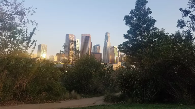 View of DTLA from Vista Hermosa Park