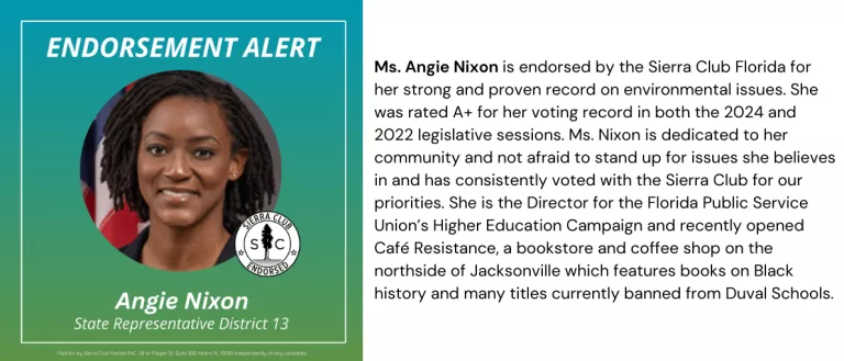 Political Endorsement for Angie Nixon with photo and text