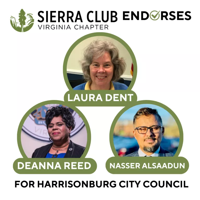 Sierra Club endorses Laura Dent, Deanna Reed and Nasser Alsaadun for Harrisonburg City Council