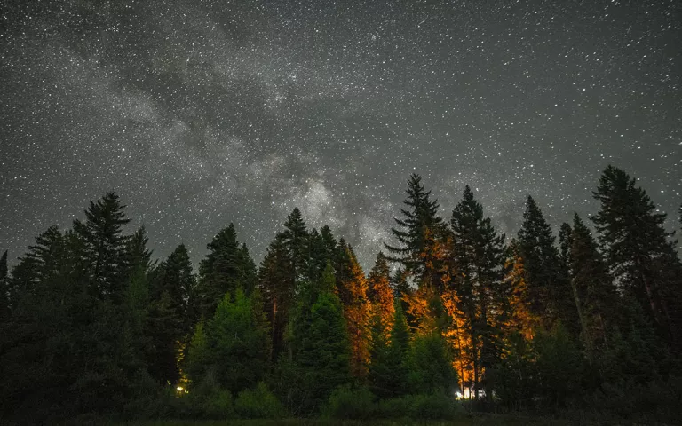 Night sky in the Cascades with forest in the foreground