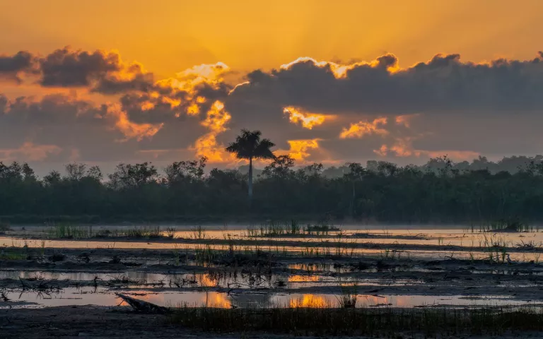 Everglades National Park at Sunset