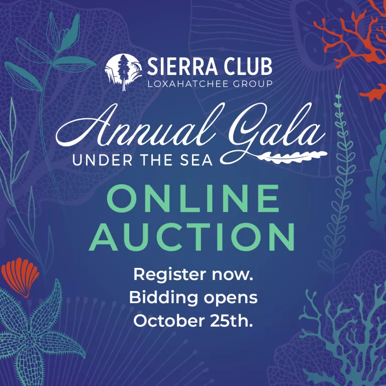 Online Auction graphic with colorful underwater reef graphics