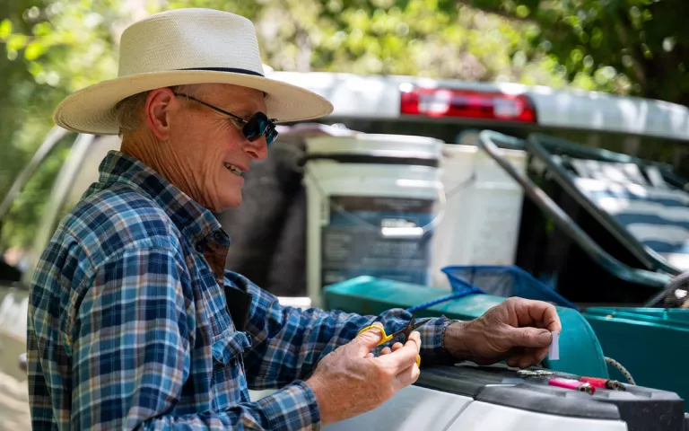 A CRSA volunteer prepares to take a tissue sample from a rescued steelhead trout. These tissue samples will go to scientists researching the genetics of steelhead and rainbow trout.