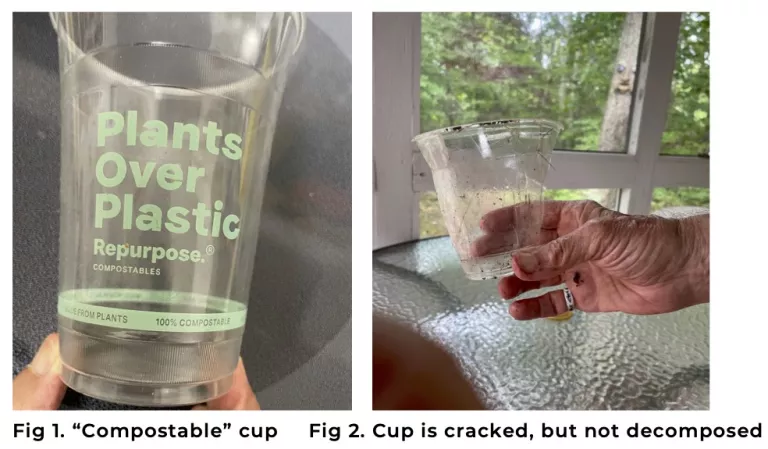 Bioplastics cup before and after backyard decomposing