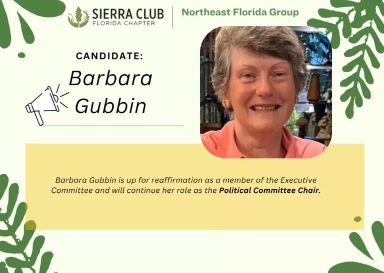 Graphic for Barbara Gubbin running for SCNEFL ExComm