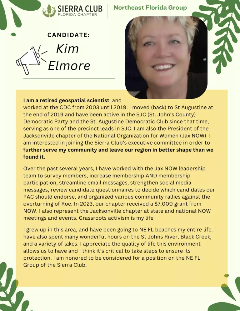 Graphic for Kim Elmore running for SCNEFL ExComm