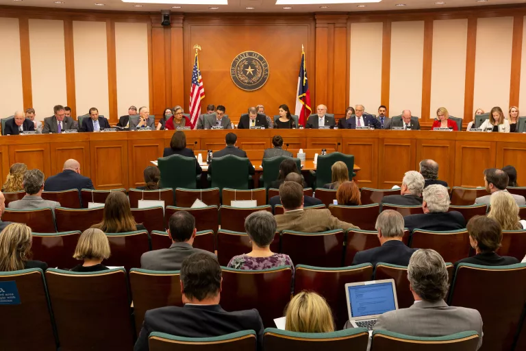 texas sunset commission convenes in chamber