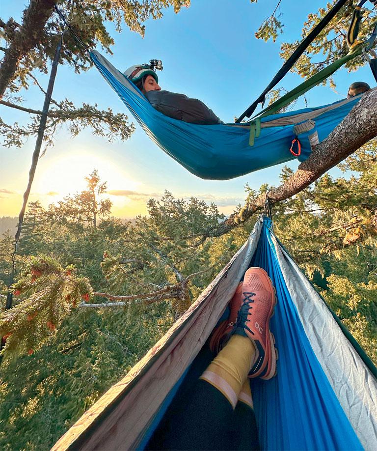 Two people lie in hammocks tied to tree limbs in the canopy.