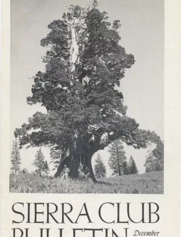 Sierra Club Bulletin December 1950