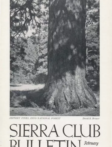 Sierra Club Bulletin February 1955