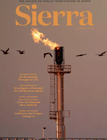 Sierra magazine Winter 2024