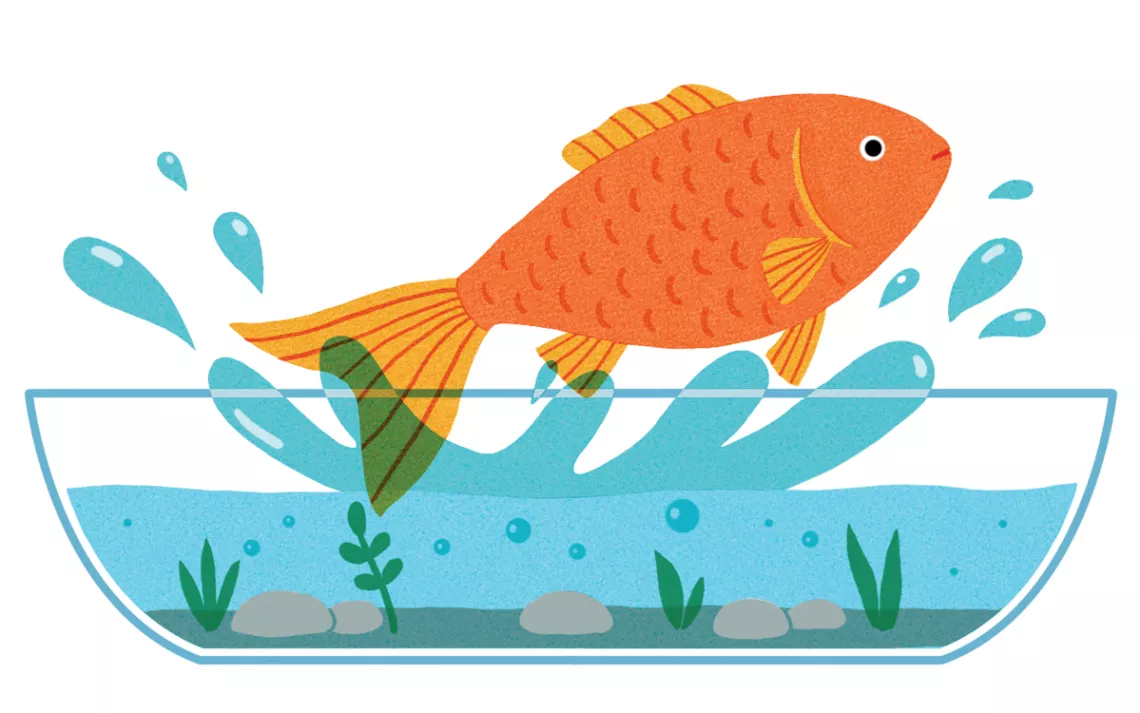 stood clipart fish