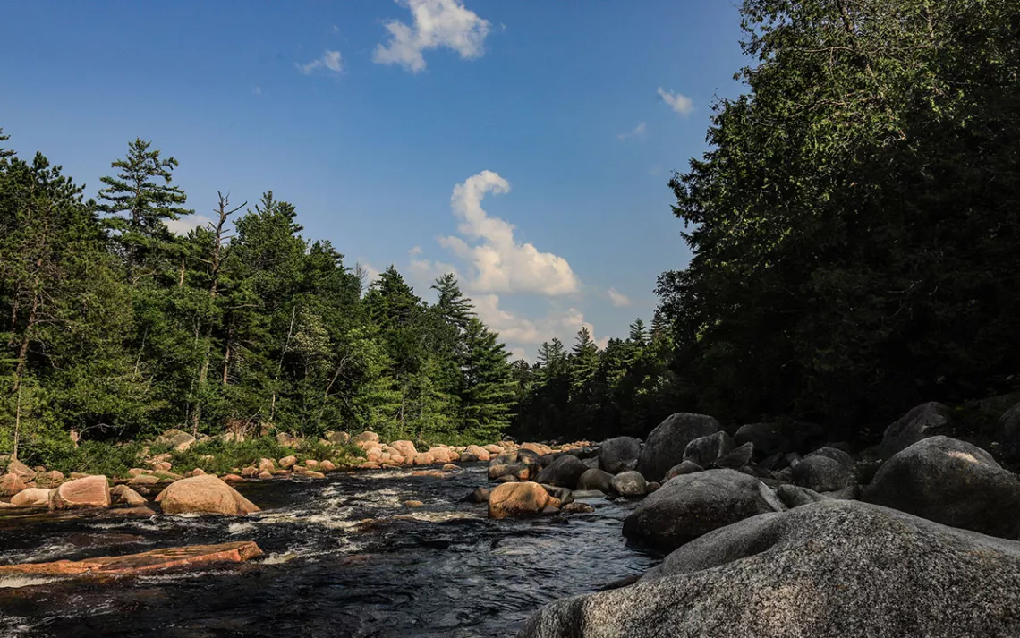 National Public Lands Day - NPS Commemorations and Celebrations (U.S.  National Park Service)