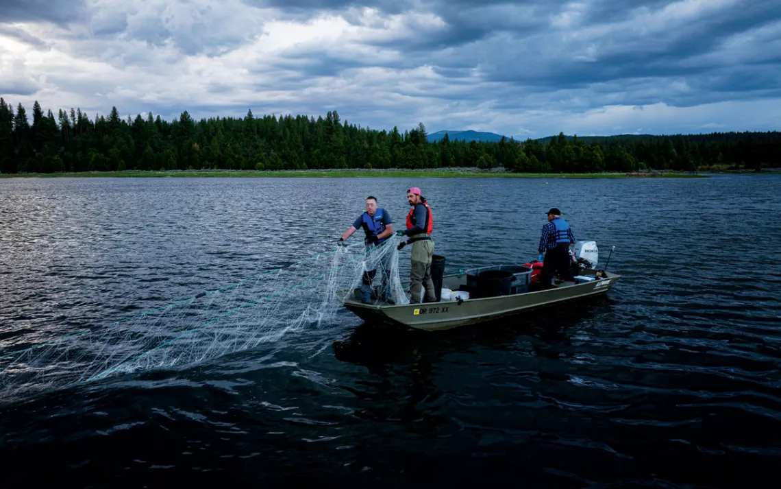 Three men on a small metal boat pull in a large net from the water.