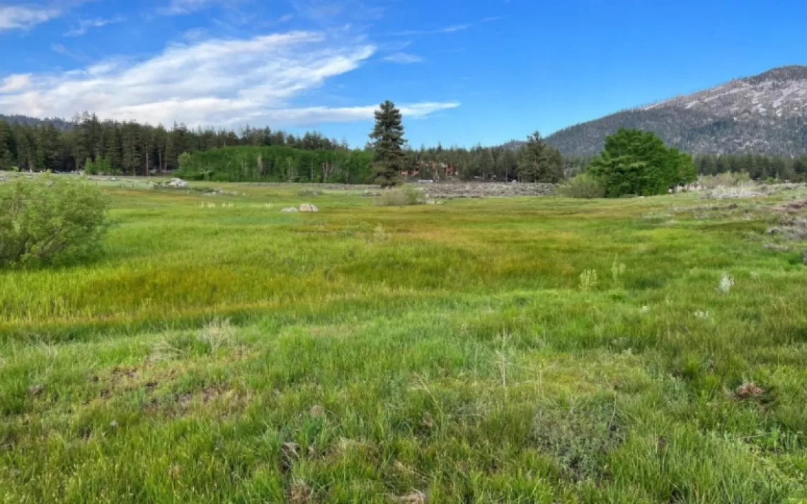 Jennings Pond Proposed Removal On Lower Burke Creek | Sierra Club