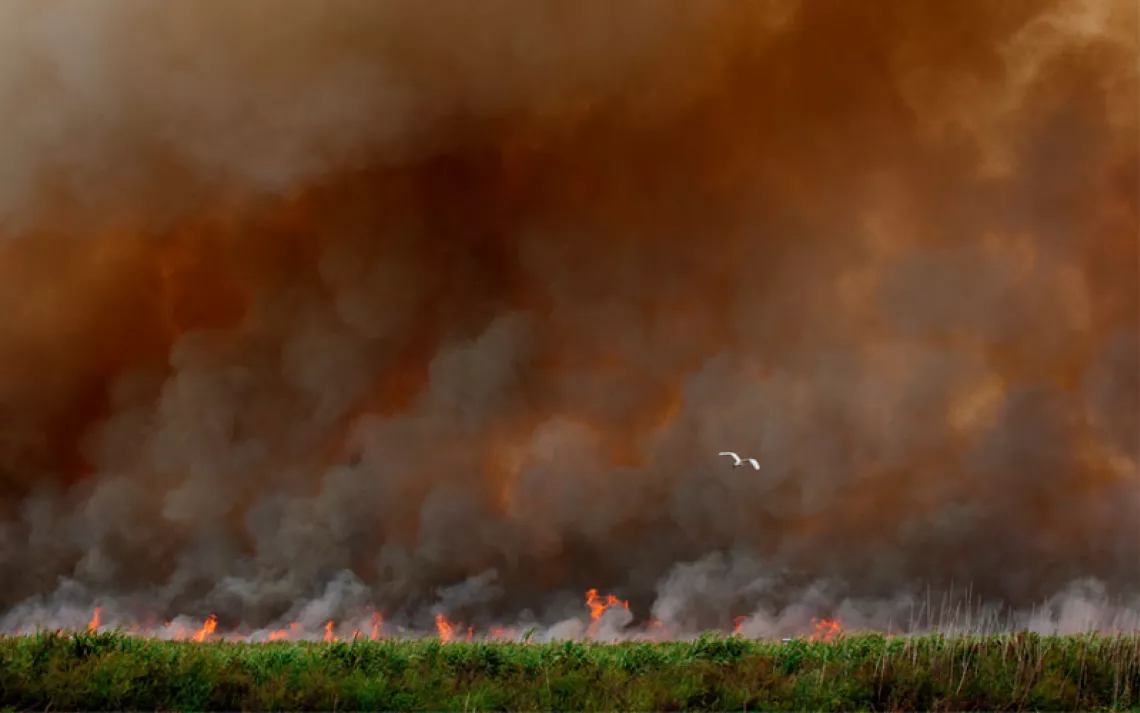 A fire burns across a green field and brown smoke fills the sky.