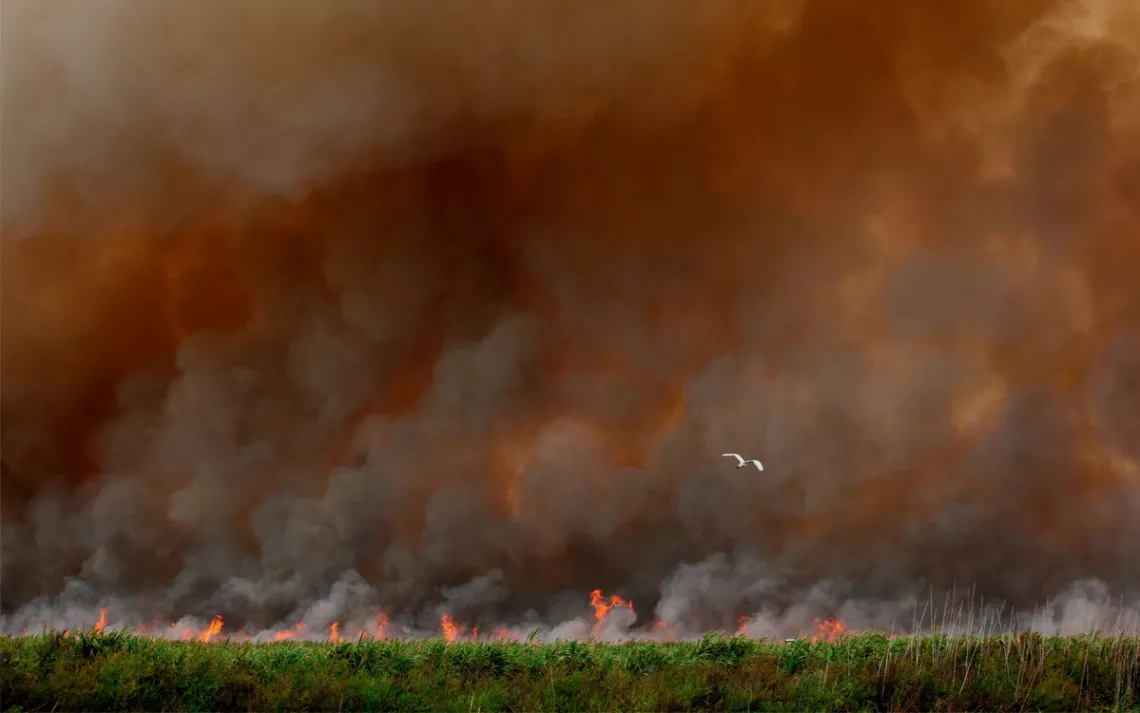 A fire burns across a green field and brown smoke fills the sky.