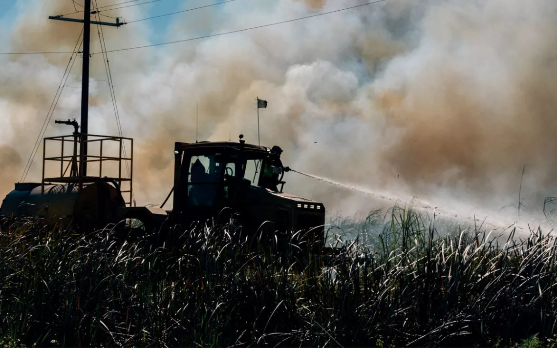 Someone in a tractor sprays a field of sugarcane with smoke in the background