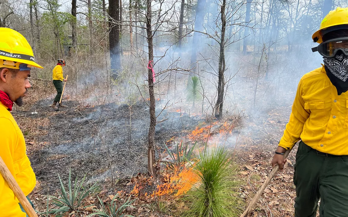 Firefighters in hardhats managing a prescribed burn