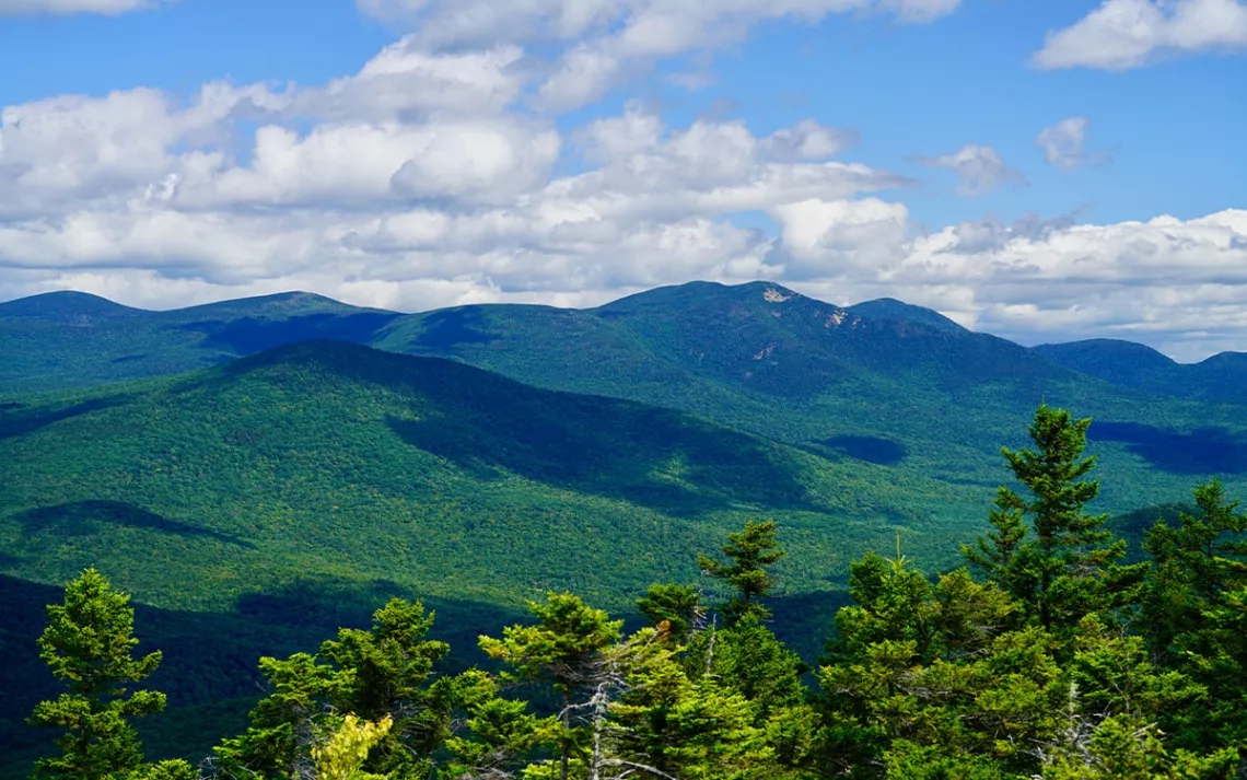 A view of the Sandwich Range Vegetation Management Project area in New Hampshire's White Mountains National Forest.