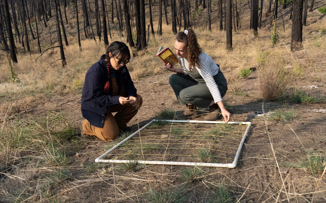 Jennifer Grenz and UBC graduate student Virginia Oeggerli assess invasive and culturally important plant species affected by the McKay Creek Wildfire, St'at'imc Nation Territory, north of Lillooet, British Columbia.