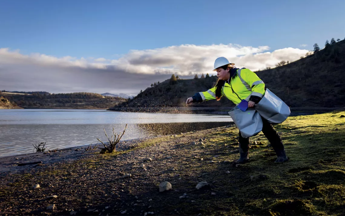 A woman wearing a bright-yellow jacket and hardhat sprays seeds onto the ground next to the Klamath River.