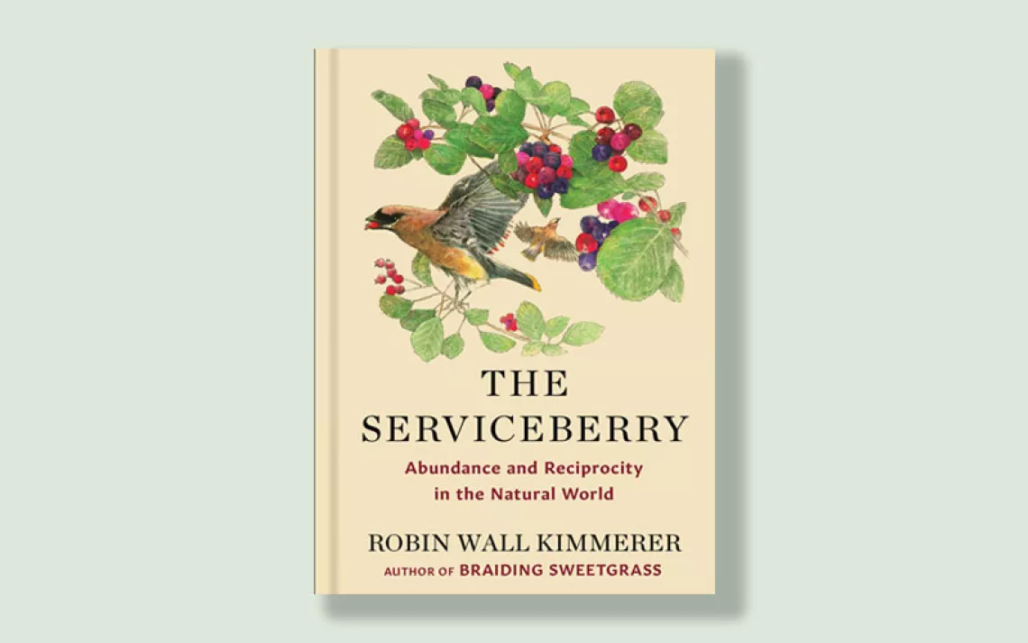 The Serviceberry