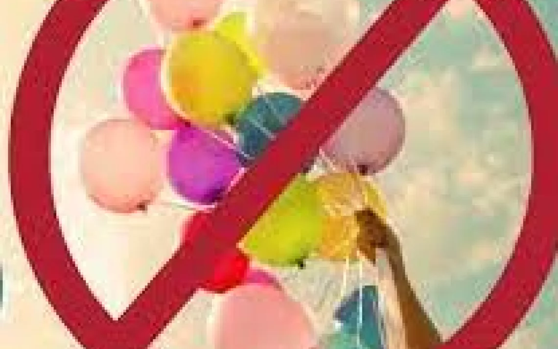 Cleveland City Council Passes Balloon Release Ban! | Sierra Club