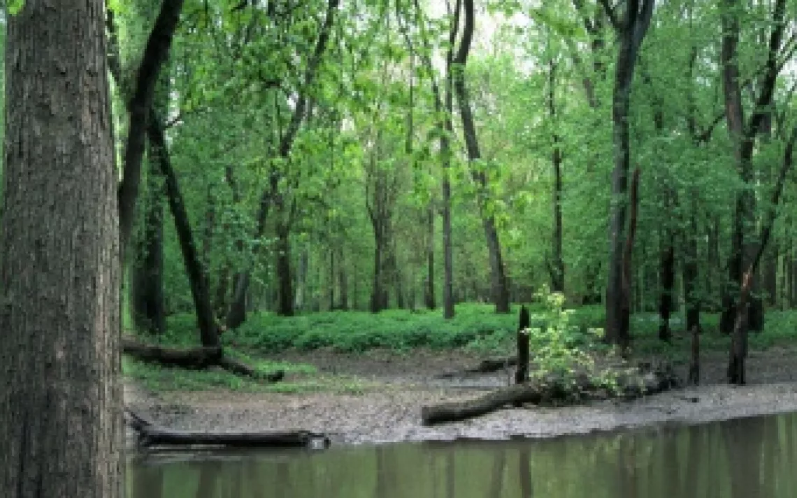 Sierra Club, Shawnee Group: Sharp Rock Falls