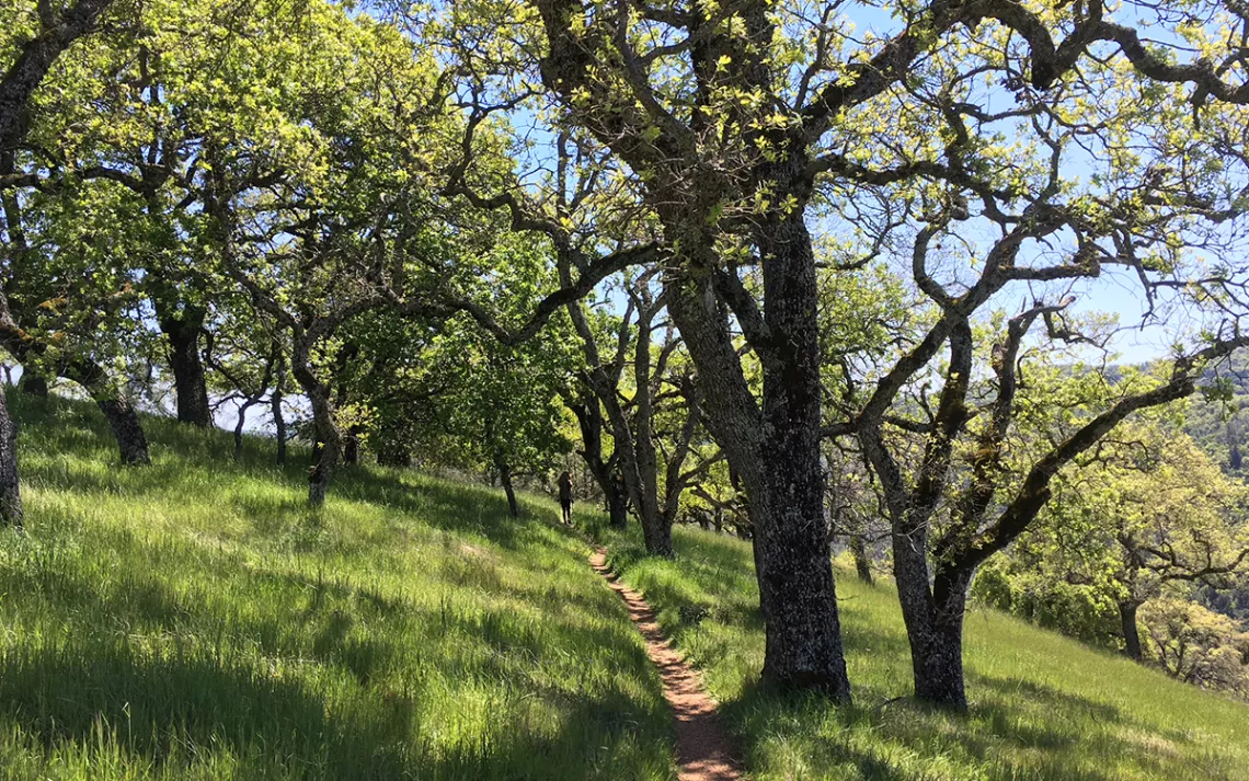 Henry coe state park sale backpacking