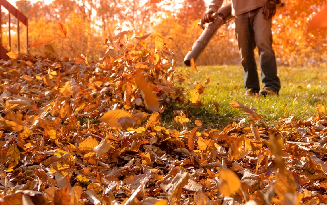 The 9 best leaf blowers for every yard in 2023
