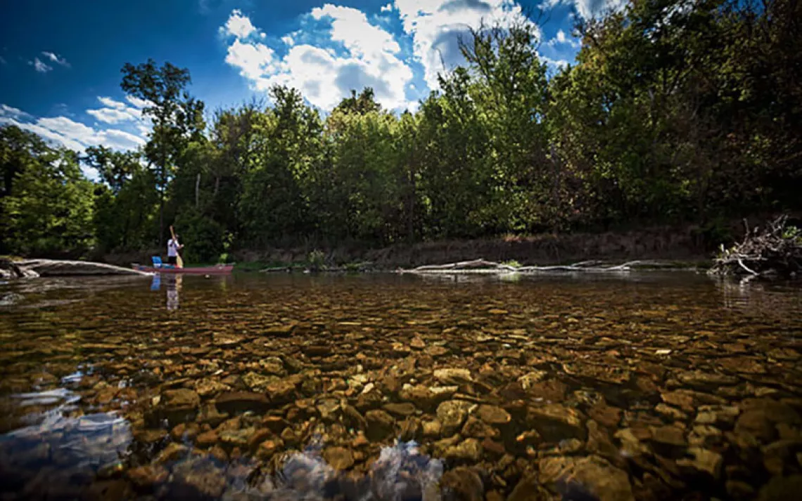 From the horse's mouth: The Fightin' Ozarks - The Good Phight