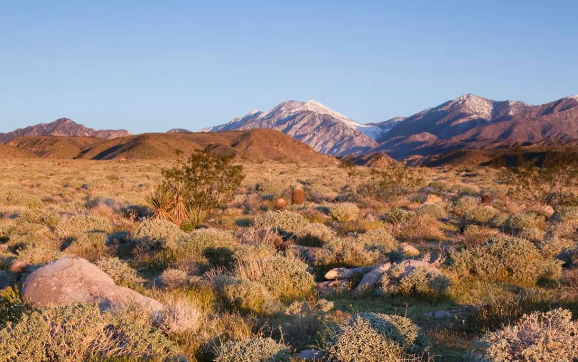 The Story Behind The California Desert's New National Monuments ...