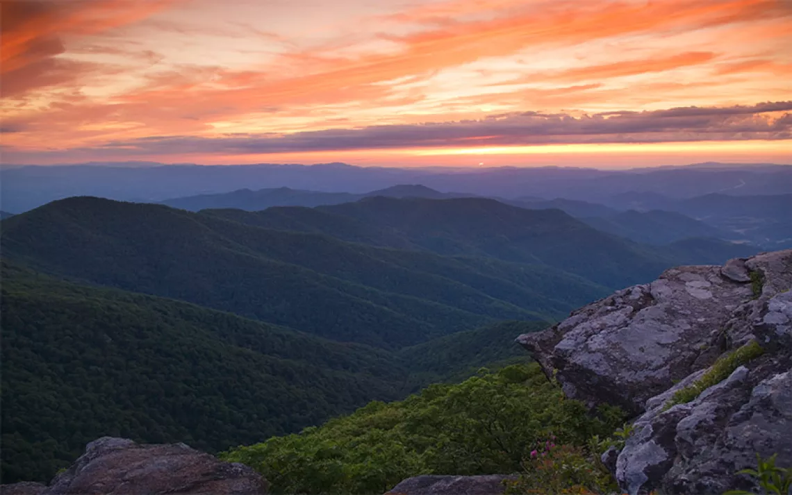 North Carolina Needs More Wilderness 