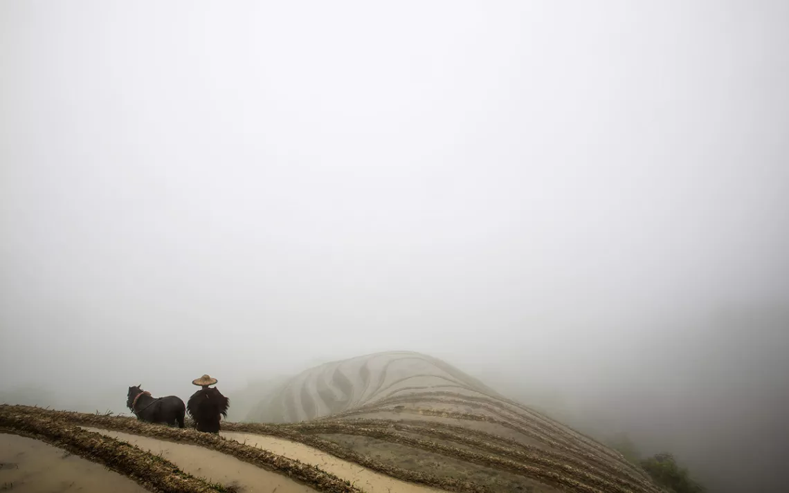 A Yao tribesman and his horse look over cloud-filled rice terraces near Tantou village in Guangxi, China.