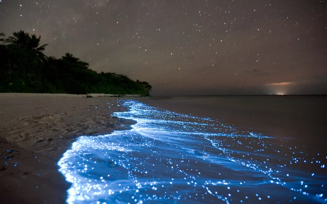 Amazing Natural Phenomena: The Planet's Most Incredible Spectacles