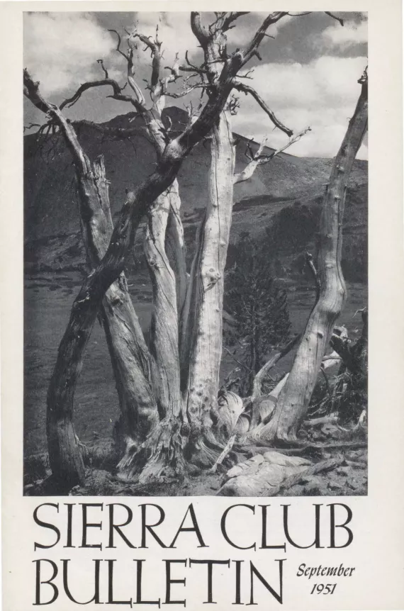 Sierra Club Bulletin September 1951