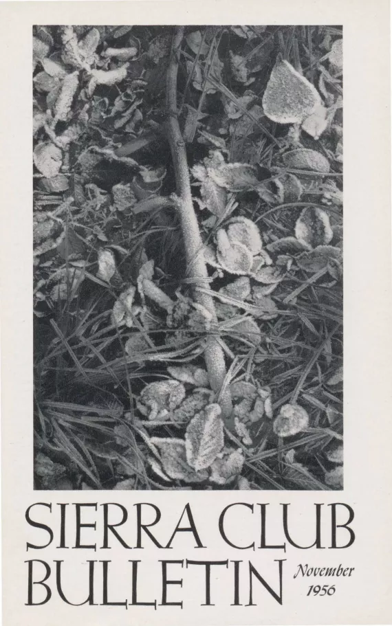 Sierra Club Bulletin November 1956