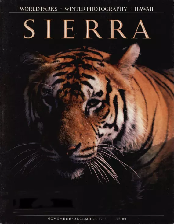 Sierra November/December 1984