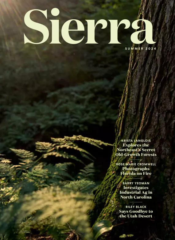 Summer 2024 Sierra Magazine