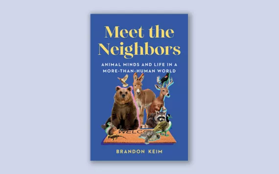 Meet the Neighbors