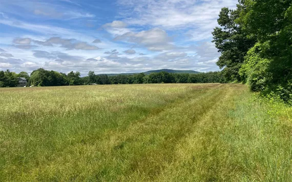 A green field with a mountain in the distance