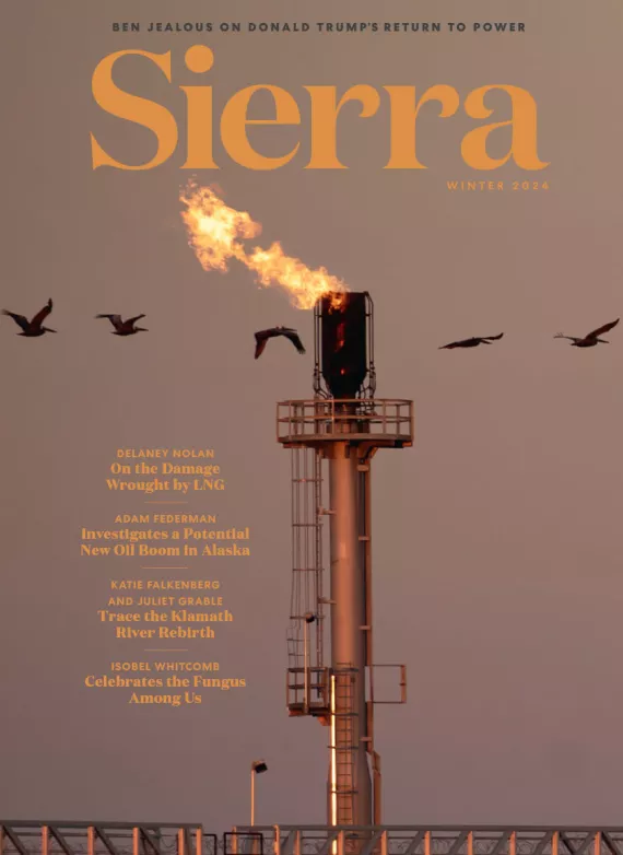 Sierra magazine Winter 2024