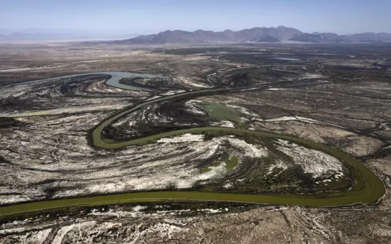 Aerial view of the Colorado River Delta estuary shows an arid landscape and the green Colorado River snaking through.