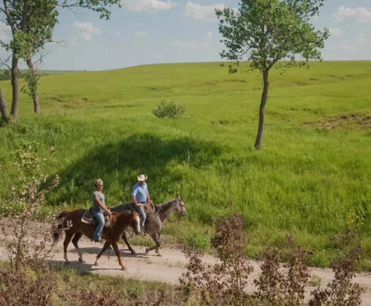 2 horseback riders on trail next to grassy field with trees