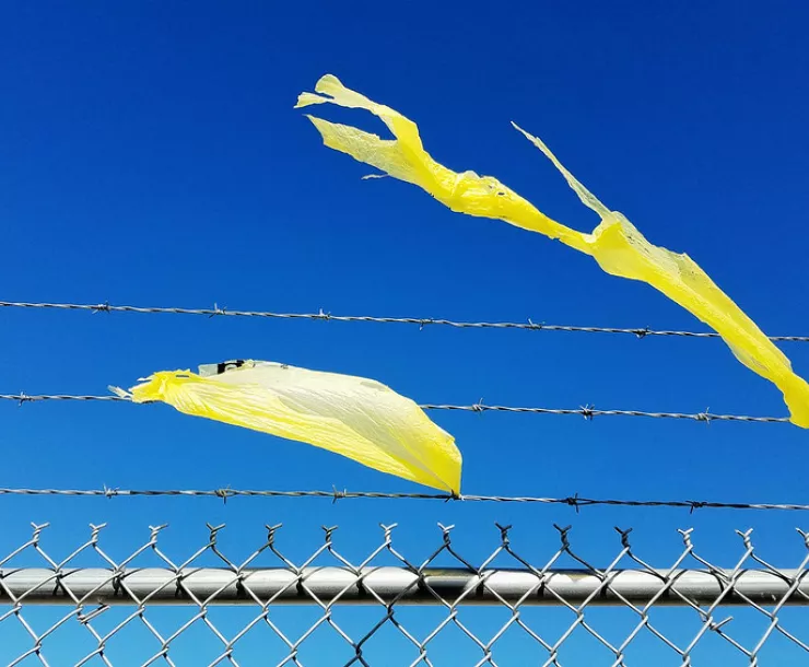Plastic bag shreds hanging on barbed wire by Gilbert Mercier