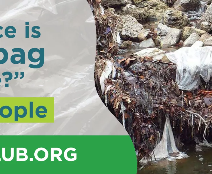 plastic bags on rocky ground at water's edge